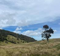Abierta convocatoria para reconocer las mejores iniciativas ambientales de Manizales 