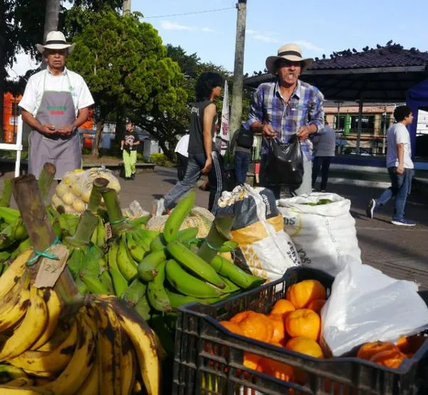 Del fogón a la plaza: el campo llega con rostro humano y una historia de amor en el mercado campesino