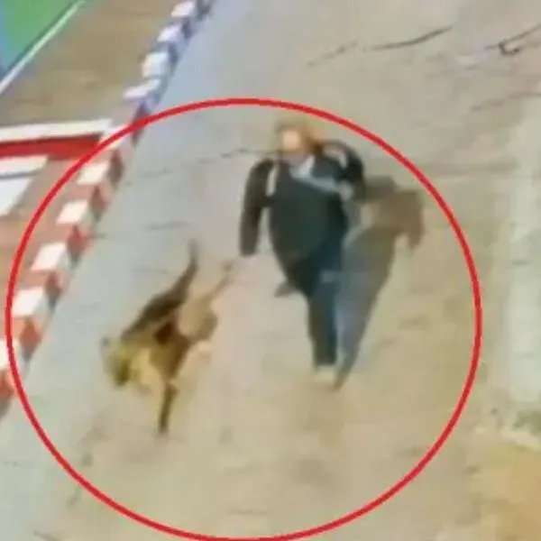 Bogotá: por qué quedó libre señalado de robar animales para abusar de ellos