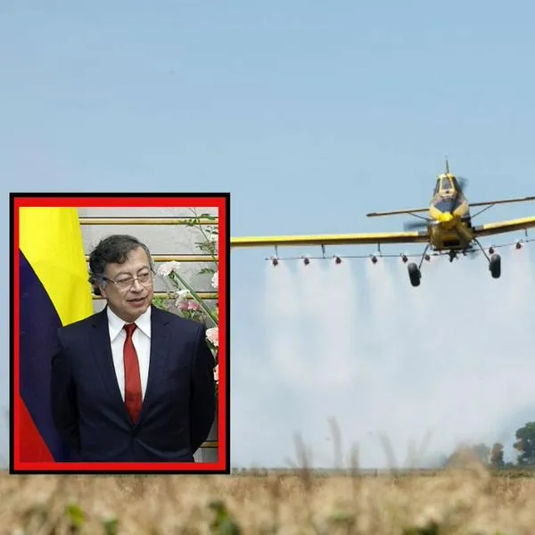 Gustavo Petro anunció fumigación aérea de cultivos ilícitos