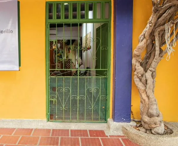 ‘Cosecha de Papas’: la exposición sobre la papa como símbolo cultural llega a Valledupar