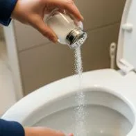 ¿Por qué se debe echar sal en el inodoro todas las noches? Mito y efectos