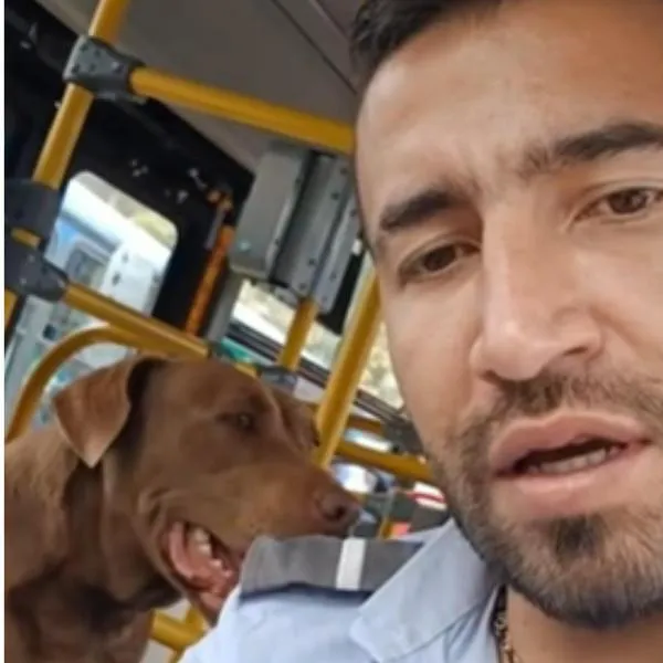 Perro se subió a un Sitp y el conductor lo ayudó a buscar a su familia: video