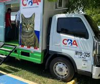 Valledupar da el primer paso por sus animales: caminata, adopciones y servicios gratuitos para mascotas