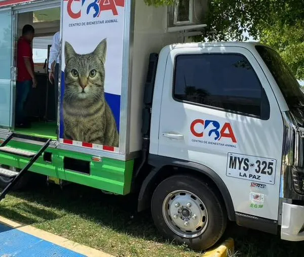 ¡No compres, adopta! Únete a la Primera Caminata Canina y Jornada de Adopción en Valledupar