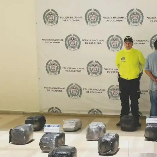 Allanadas viviendas en Armenia donde almacenaban cerca de 200 libras de marihuana