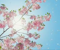 ¿Cuál será el pronóstico del clima para este viernes en Cali?
