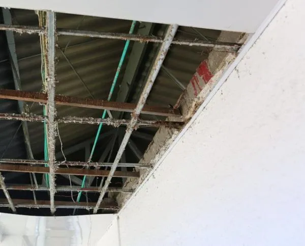 I.E. de este municipio de Caldas enfrenta crisis por caídas de techos y problemas de higiene con palomas