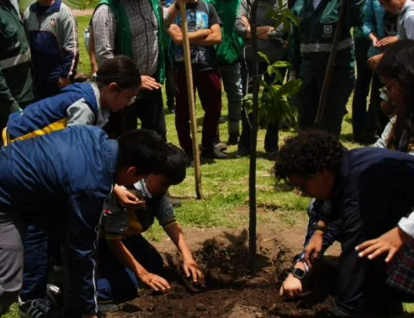El sur de Bogotá respira mejor: 95 nuevos árboles fueron plantados en el parque Timiza 