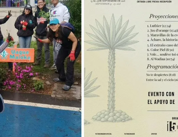 Conoce en Maloka todo sobre los ecosistemas y su impacto para tu vida 