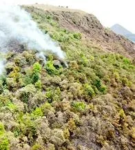 Tres municipios de Cundinamarca registran incendios forestales