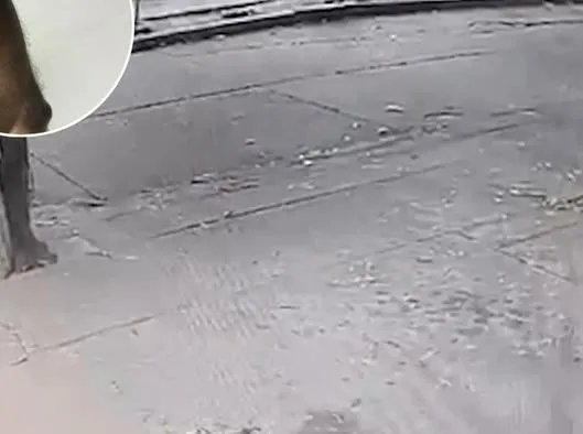 Policía resultó herido en medio de un hurto cerca del Comando en Valledupar