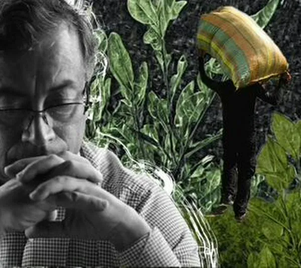 La descertificación de EE. UU. contra Colombia, un golpe internacional al Acuerdo de Paz