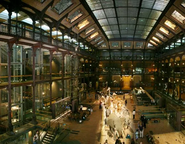 Roban piezas de oro valuadas en 600.000 euros del Museo de Historia Natural de París