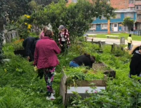 Tejiendo territorios: La Huerta María Cano florece con la fuerza de su comunidad de Ciudad Bolívar 