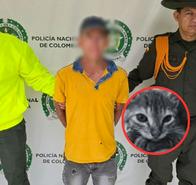 Hombre que mató al gato Michyn quedó libre en Bucaramanga y hay indignación