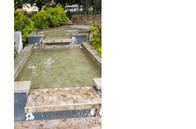Parque de Bolívar en Chinchiná: limpiaron las fuentes, tras quejas por su mal aspecto