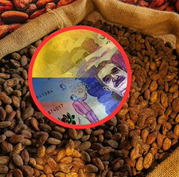 Negocio colombiano se está vendiendo como pan caliente en Europa y está dejando buena plata. Es el cacao y está en su auge para amor y amistad.
