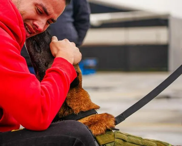Video: emotivo reencuentro de un policía con su fiel compañero canino, Telmo