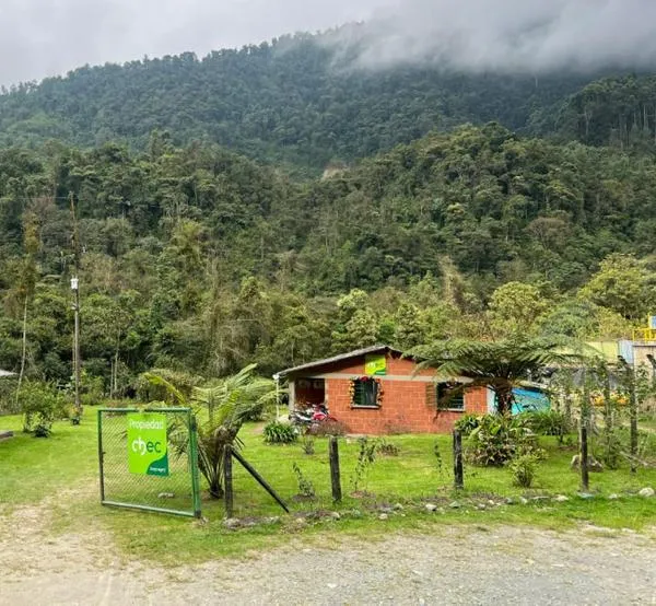 Chec denuncia que 40 caminantes ingresaron sin autorización a reserva natural en Caldas: invita a proteger