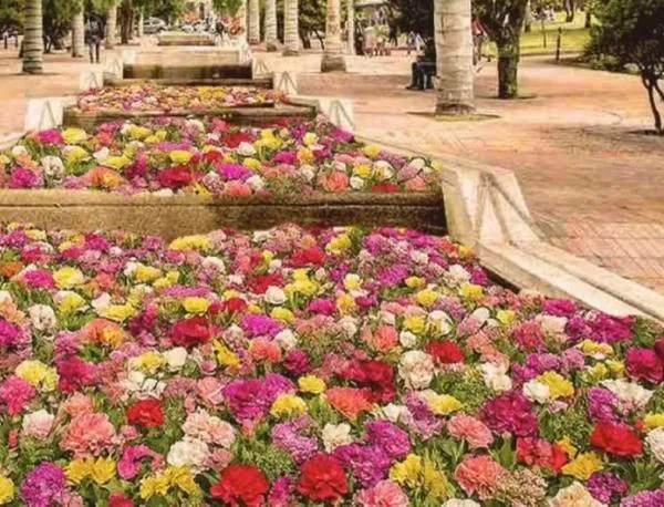 Un río de flores viste de colores el centro de Bogotá como antesala de la Bienal BOG25