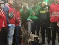 Perro y gato utilizados con pretexto de mendicidad en TransMilenio fueron rescatados 