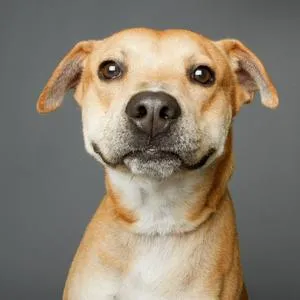 imagen nota inferior