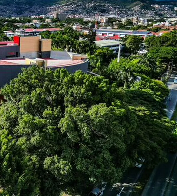 Este es el teatro de Colombia que está entre los mejores de América Latina, según ranking