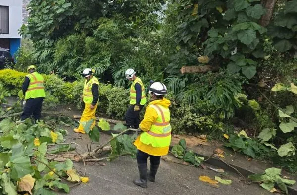 Fuertes lluvias causan emergencias en el Centrosur de Caldas: inundaciones, caída de árboles y más