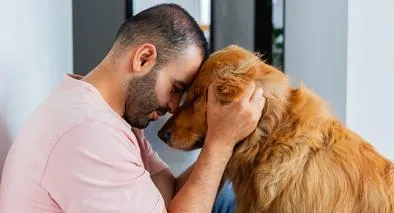 Cuál es el gesto de los perros para saber si confían en sus dueños: ejemplo