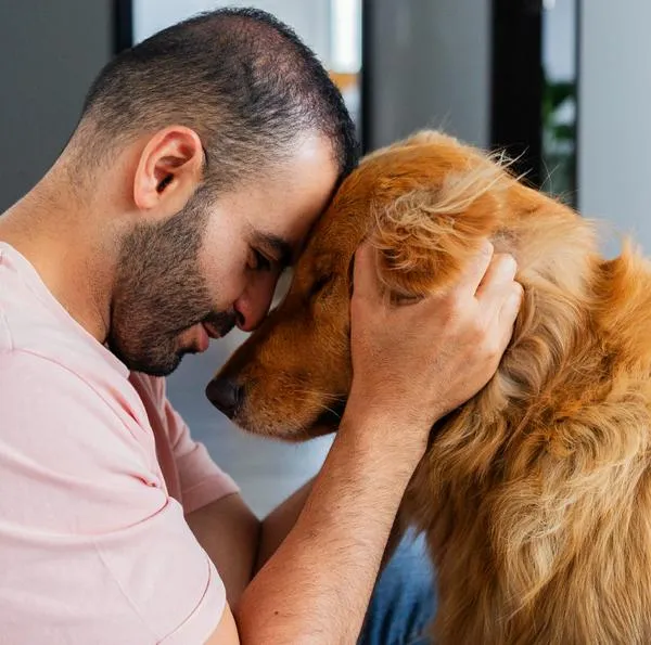 Cuál es el gesto de los perros para saber si confían en sus dueños: ejemplo