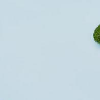 ¿Sabes cuánta contaminación generas a diario? Así impacta tu huella de carbono y cómo puedes reducirla