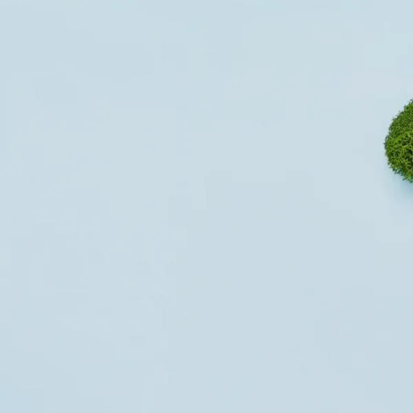 Reducir la huella de carbono, un desafío que empieza en la vida diaria