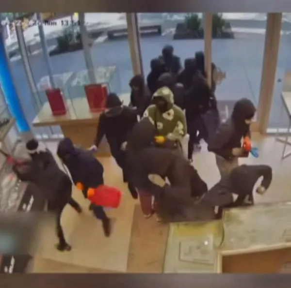 Estados Unidos hoy: 25 ladrones robaron joyería Heller Jewelers en California