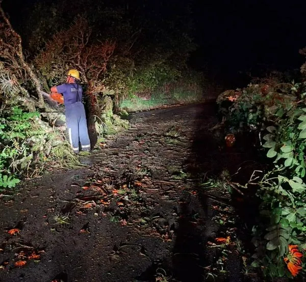 Caldas: fuerte vendaval derribó árboles y obstruyó vía que conecta con la concesión Pacífico Tres