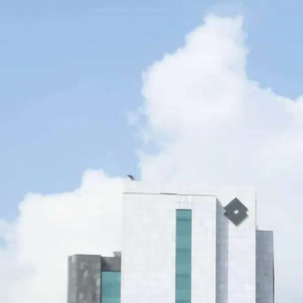 Cali vivirá la Semana de la Biodiversidad 2025: conozca los eventos que se realizarán