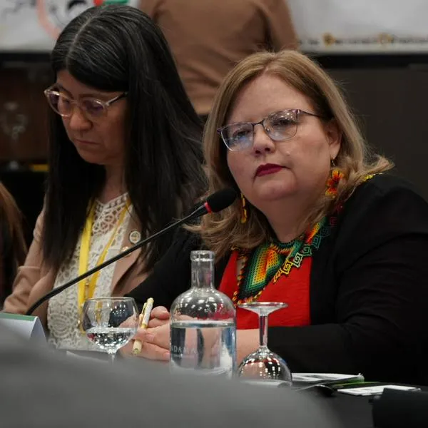 Astrid Cáceres, directora del ICBF