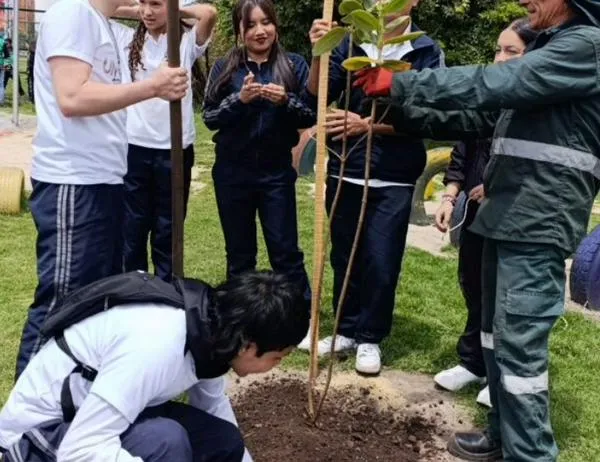 Nuevos habitantes verdes del colegio Ciudadela Educativa de Bosa: Árboles para la vida 