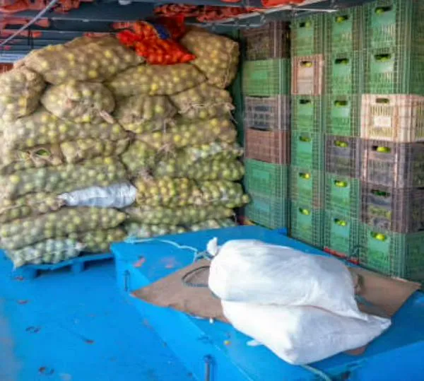 Exportaciones de frutas de Colombia alcanzan US$1.248 millones hasta julio