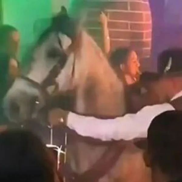 Abren investigación contra un bar en Bogotá por maltrato animal contra caballo