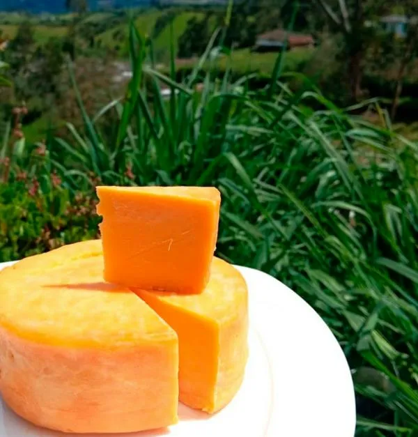 El desespero por bloqueos viales los llevó a experimentar y lograron la hazaña de producir queso tipo holandés