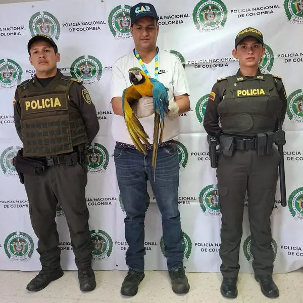 Tráfico de fauna