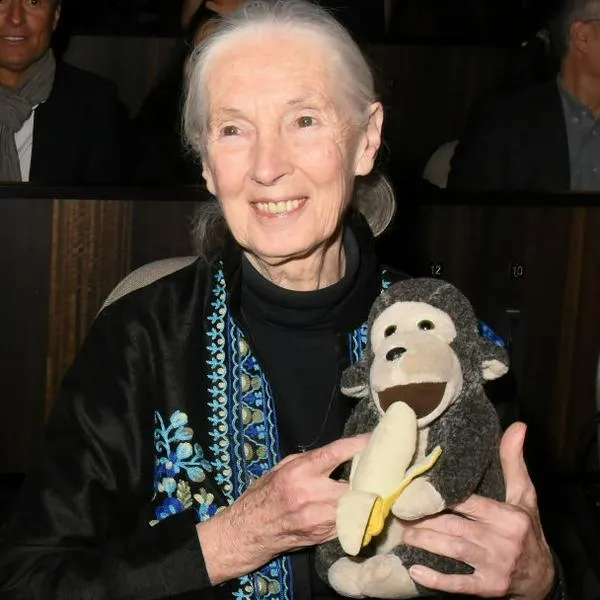 PARIS, FRANCE - JANUARY 19:  Dr Jane GoodallÊattends 'Jane' National Geographic Documentary on Jane Goodall Premiere at UNESCO on January 19, 2018 in Paris, France.  (Photo by Foc Kan/WireImage)