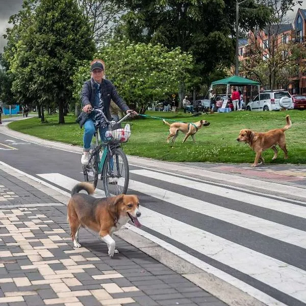 Aviso para dueños de mascotas en ciclovía de Bogotá por iniciativa en la ciudad