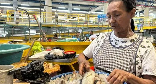 tarjeta noticia