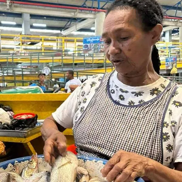 Cuánto debería subir salario mínimo en 2026, según empresarios; menos del 10 %