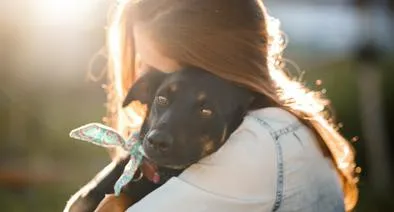 Jornada de adopción y salud para perros y gatos gratis en Gran Estación, Bogotá