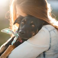 Jornada de adopción y salud para perros y gatos gratis en Gran Estación, Bogotá