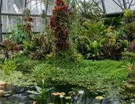 Agéndate en octubre con las expediciones y saberes en el Jardín Botánico de Bogotá 