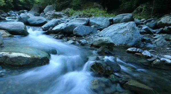 ¿Qué actividades tendrá la Semana de la Biodiversidad este sábado?